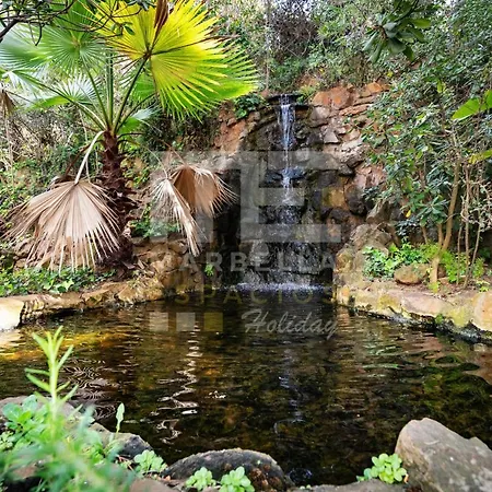 公寓 732 Luminoso Estudio En Segunda Linea De Playa En 马尔韦利亚