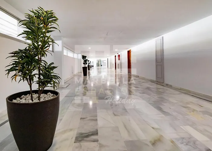 732 Luminoso Estudio En Segunda Linea De Playa En Apartament