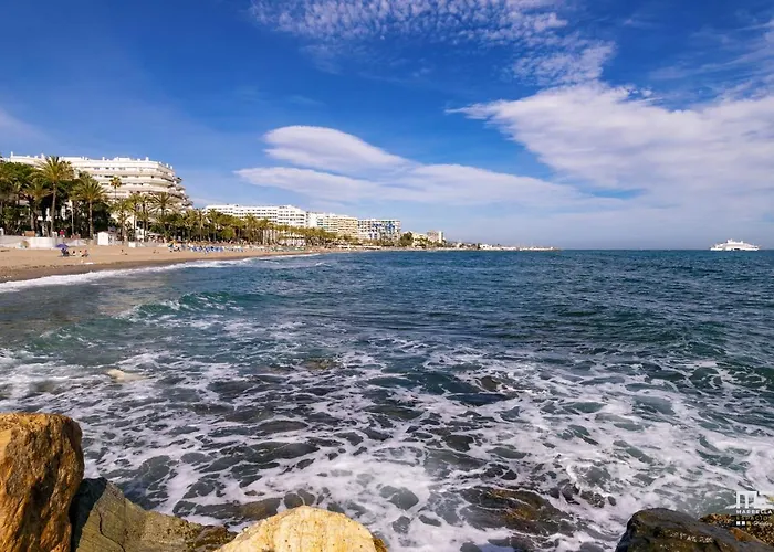 732 Luminoso Estudio En Segunda Linea De Playa En Apartament